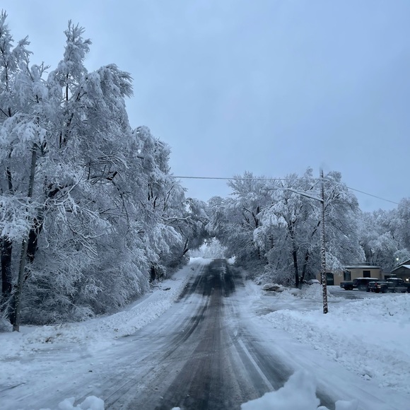 Meet your Posher, Claire - Picture 1 of 1